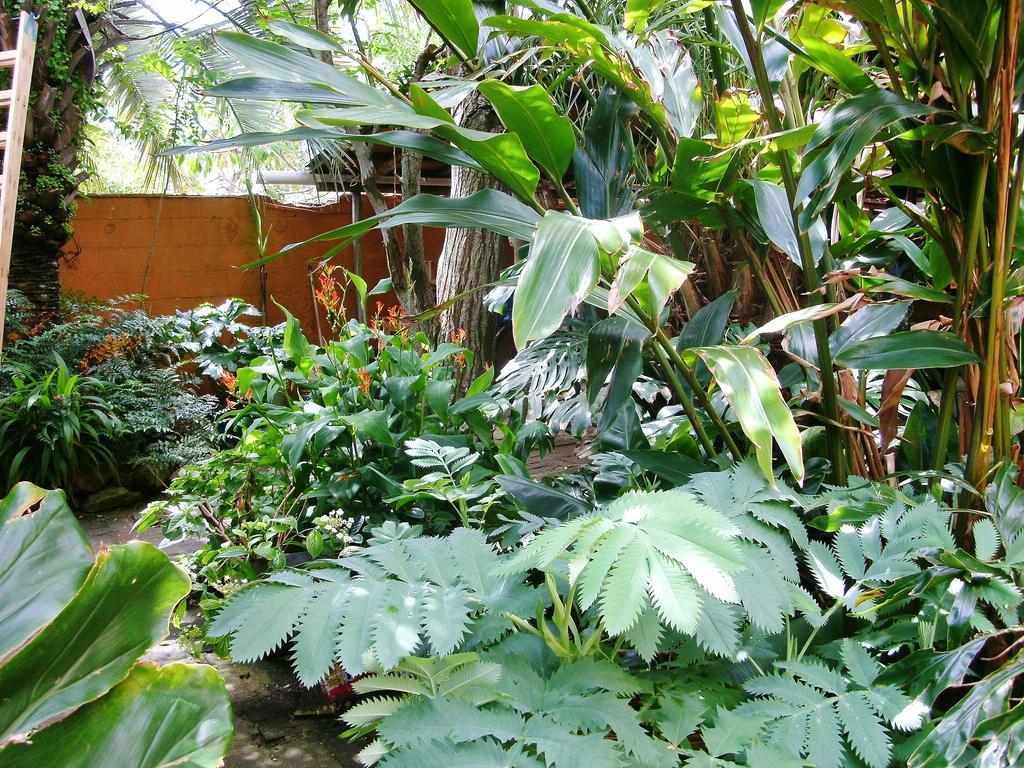 Hostel La Cruz Del Sur La Paloma Luaran gambar