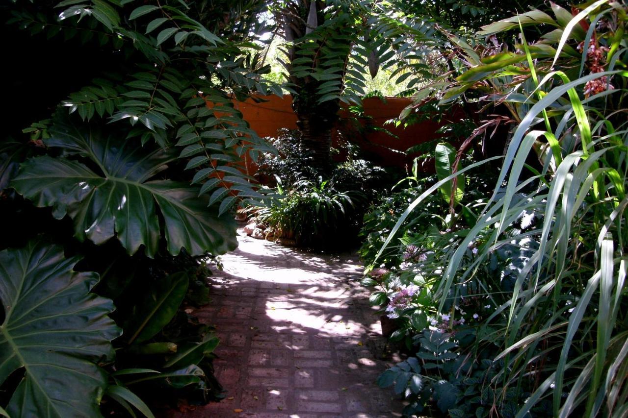 Hostel La Cruz Del Sur La Paloma Luaran gambar